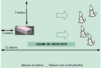 Image1.gif